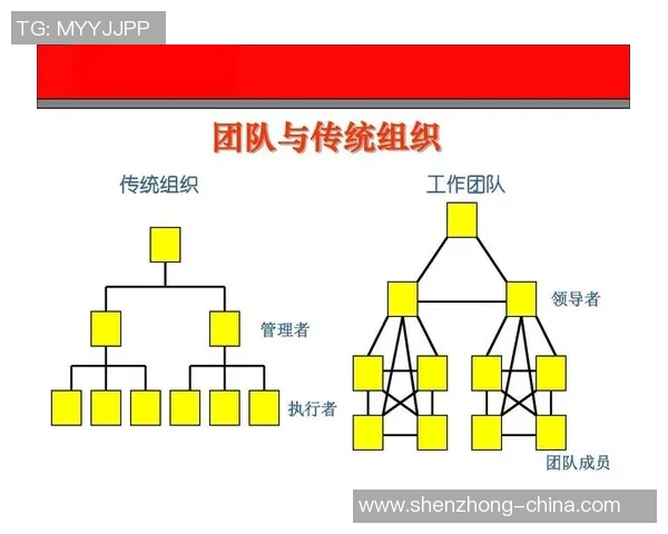 南京排球队团队协作表现的数据分析与提升策略探讨