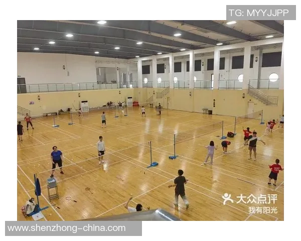 深入探讨上海羽毛球队近期表现及其对手状态的全面对比分析