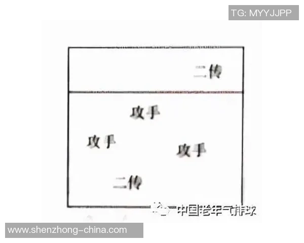 深入分析上海排球队的整体压制战术及其在比赛中的应用效果