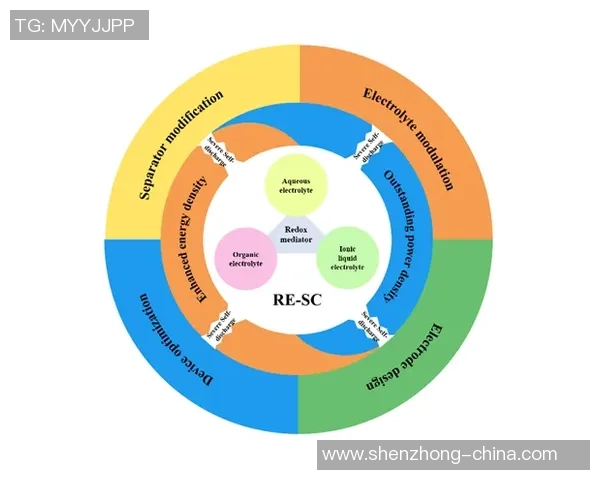 深圳排球队在杯赛中的战术表现分析与未来发展展望
