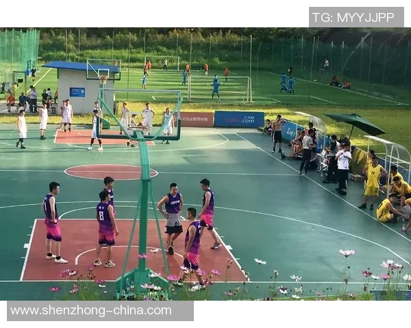 重庆篮球队团队协作变革引发热议助力球队崛起新篇章