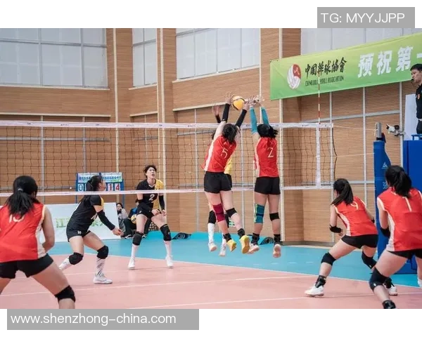排球专题：聚焦重庆排球队的心理素质